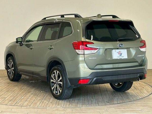 Subaru Forester Premium 2.5l Alloys Roof rails, Spoiler, Leather 2018 32,000 Kms (SOLD!) - Image 7
