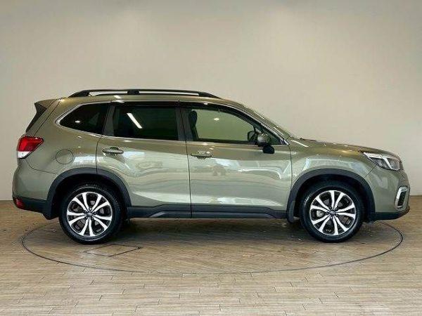 Subaru Forester Premium 2.5l Alloys Roof rails, Spoiler, Leather 2018 32,000 Kms (SOLD!) - Image 8