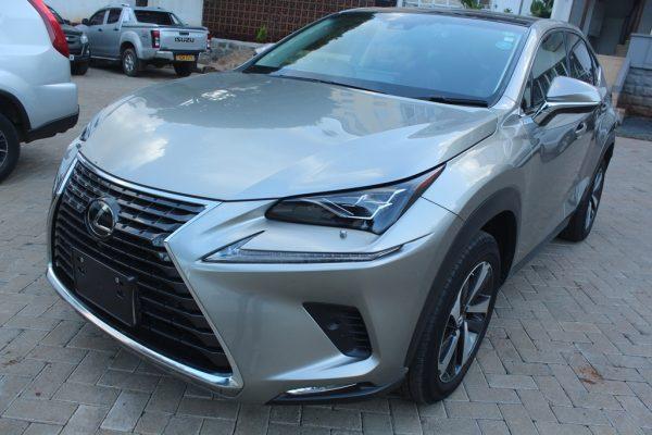 Lexus NX300 Sunroof 2018 34,000 Kms - Image 2